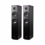 Напольная акустика Radiotehnika Alfa 1.02 Black Ash
